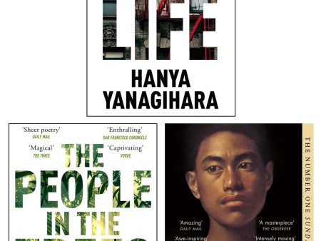 A Little Life by Hanya Yanagihara 3 Books Collection Set - Fiction - Paperback Discount