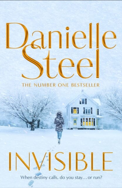 Invisible by Danielle Steel Online