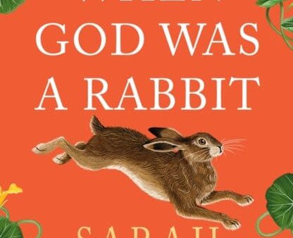 When God was a Rabbit  by Sarah Winman Hot on Sale